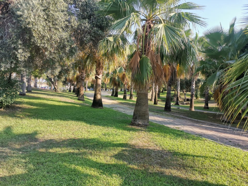 Gartenanlage Trendy Side Beach Hotel - Adults only