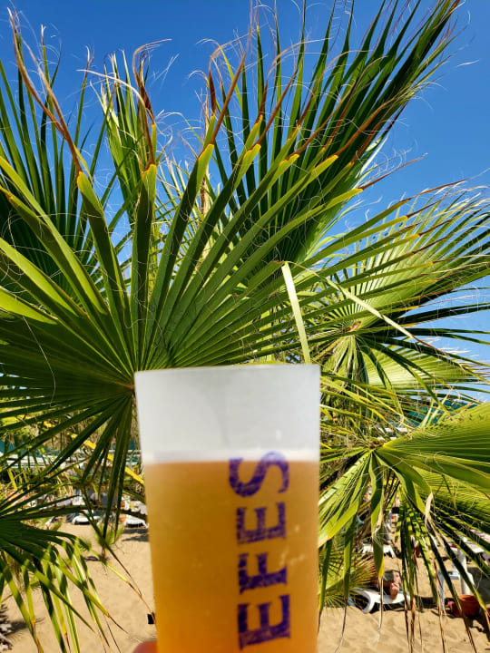 Gastro Paloma Oceana