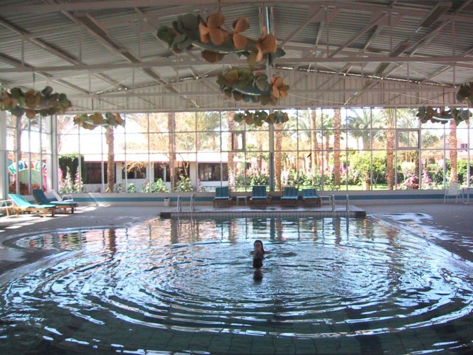 Hallenbad Beach Albatros Resort