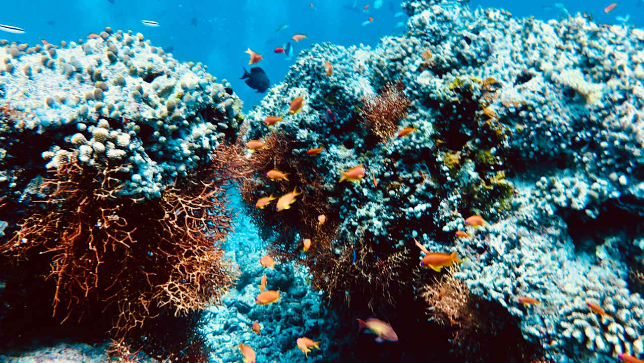 Sport & Freizeit Machchafushi Island Resort & Spa Maldives, The Centara Collection