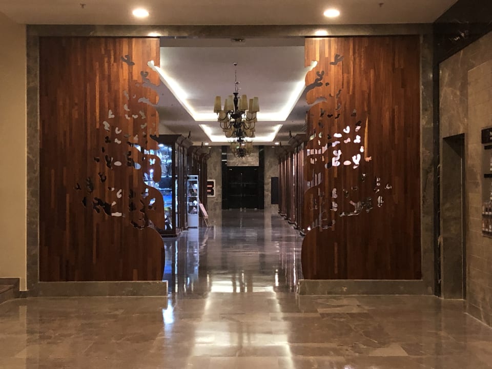 Lobby Paloma Oceana