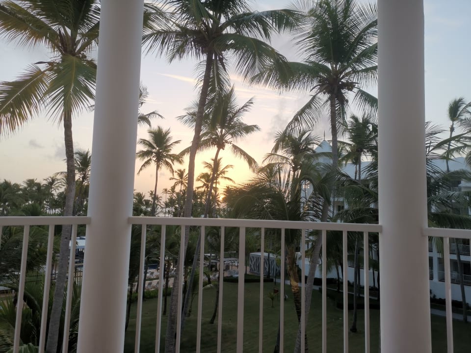 Ausblick Hotel Riu Palace Macao - Adults only