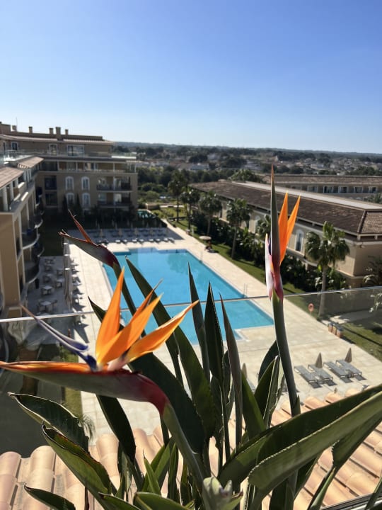 Pool Grupotel Playa de Palma Suites & Spa