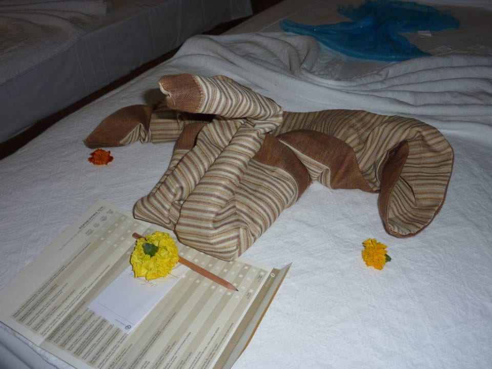 Deko der Zimmerfrau Marvida Family Eco