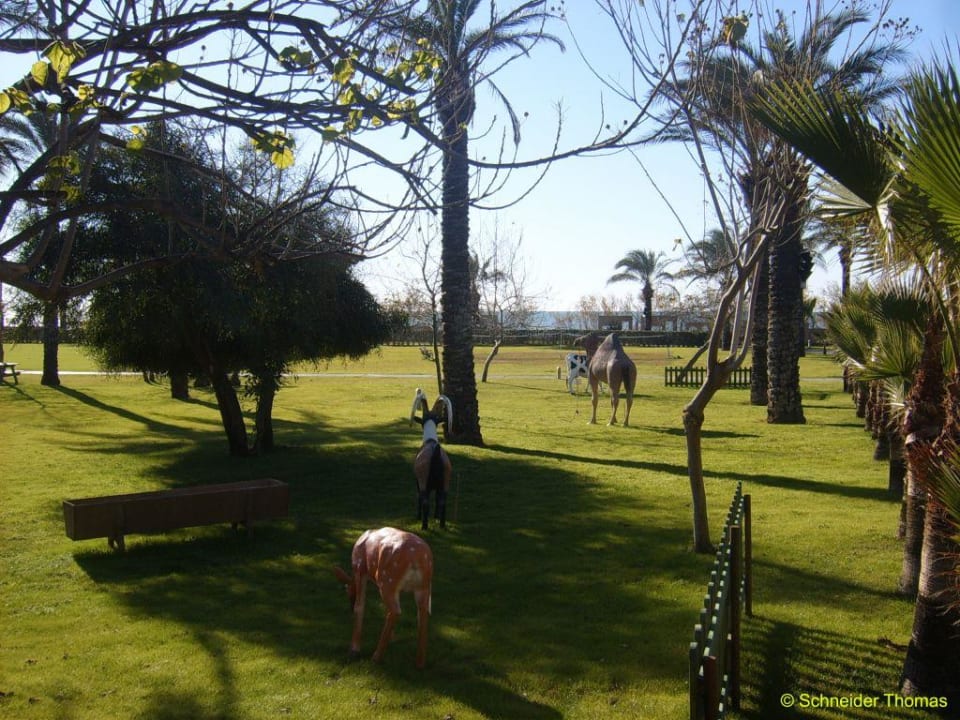 Mungo Club Asteria Family Belek