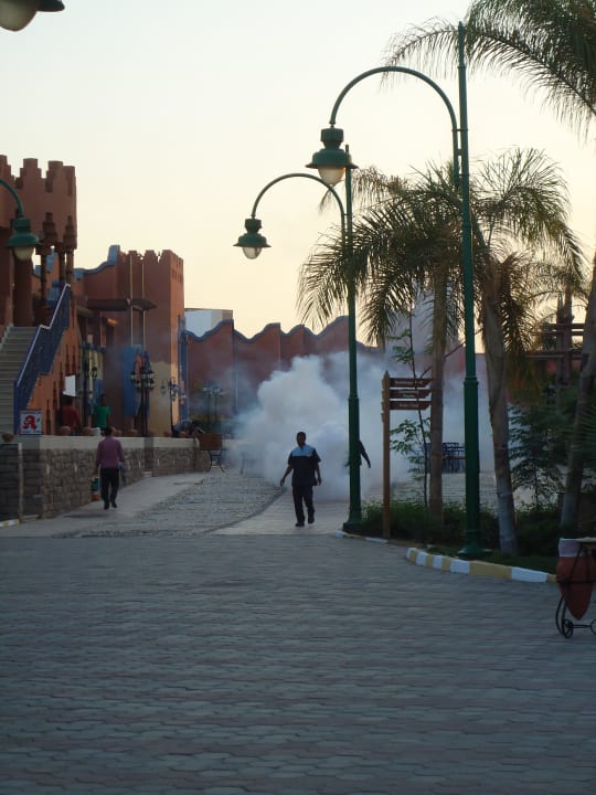 Jeden Abend ca. 18.30 Insektenvernichtung, Achtung Aurora Bay Resort Marsa Alam
