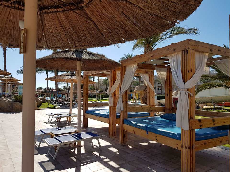 Pool Beach Albatros Resort