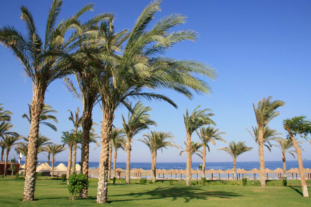 View Rixos Sharm El Sheikh Adults Only 18 +
