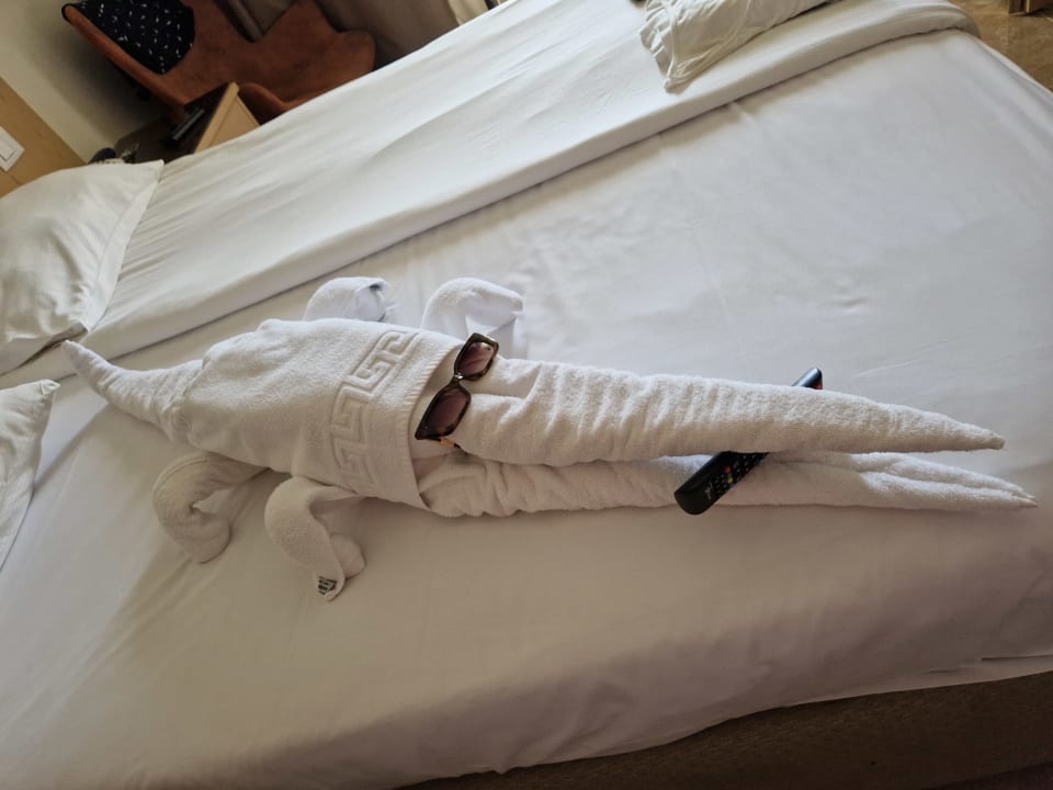 Zimmer Beach Albatros Resort