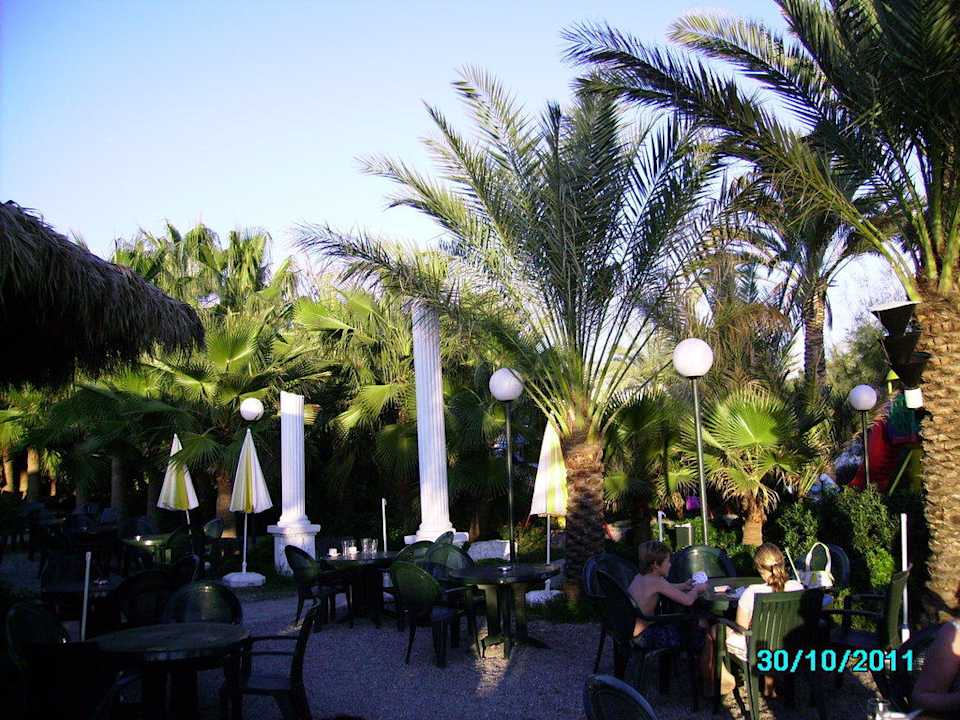An der Strandbar Hotel Yetkin