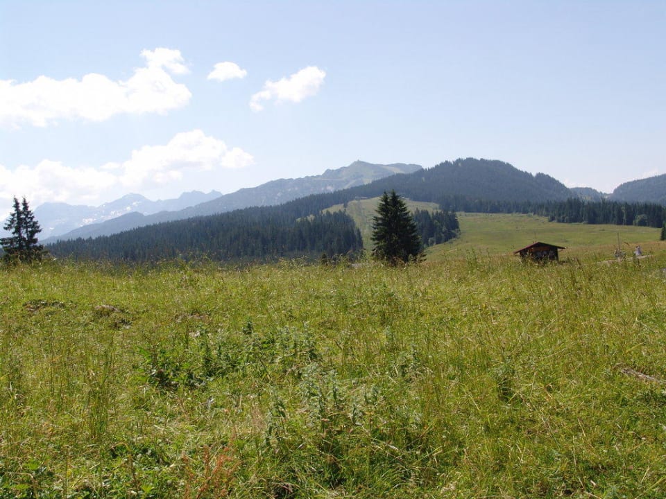 Ausblick Winklmoos-SonnenAlm