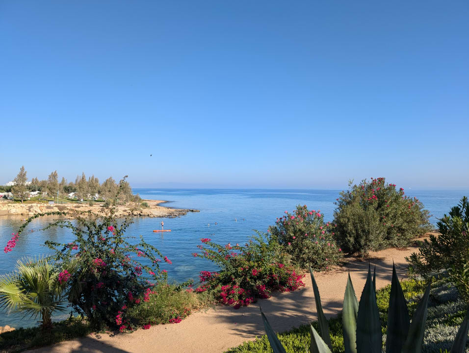 Außenansicht Crystal Springs Beach Hotel