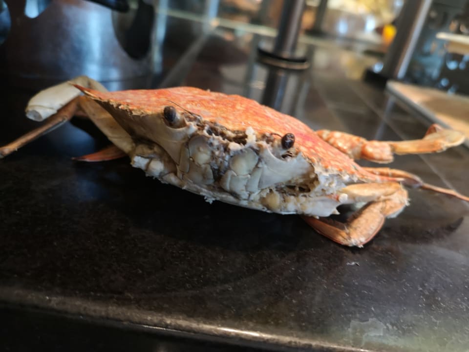 Gastro Well Palace Side