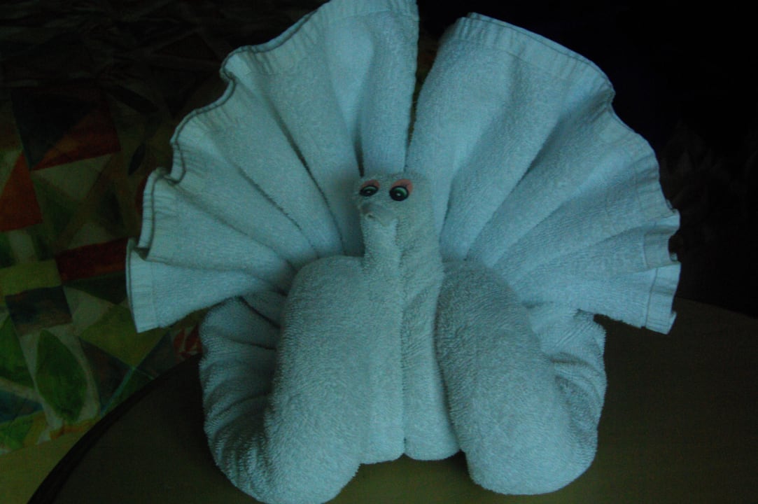 Der Schwan, oder? (Pfau) Grand Palladium Kantenah Resort & Spa