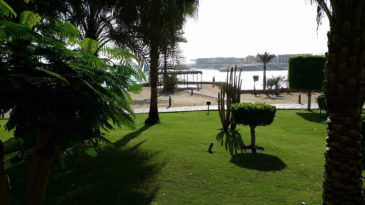 Ausblick vom Zimmer Steigenberger Coraya Beach - Adults only