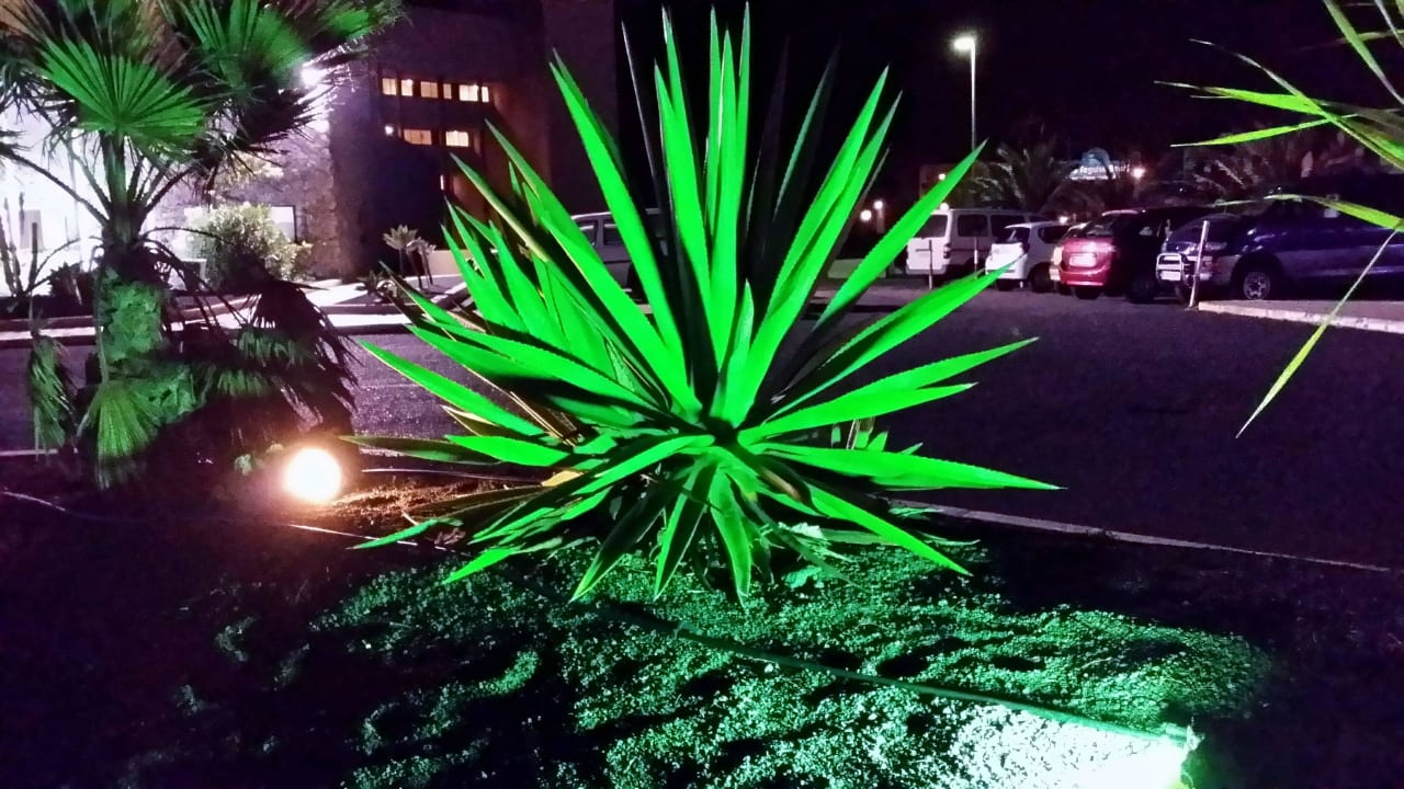 Vor der Lobby, eine grün angestrahlte Aloe Hotel Grand Teguise Playa