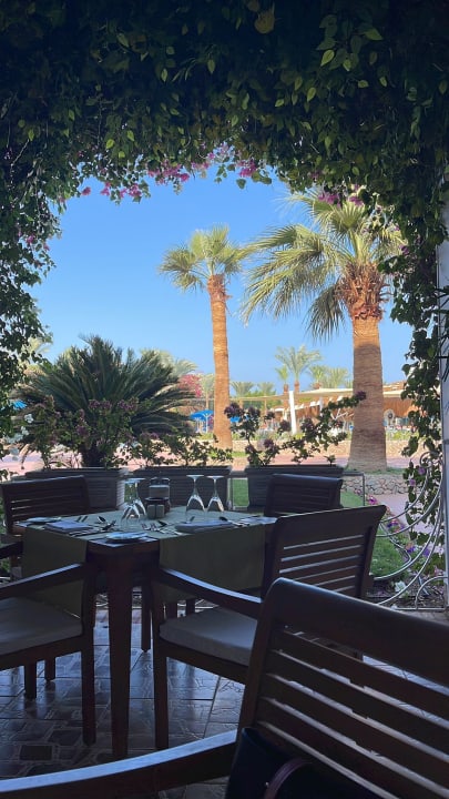 Ausblick Desert Rose