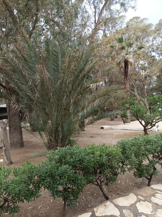 Gartenanlage Marhaba Royal Salem