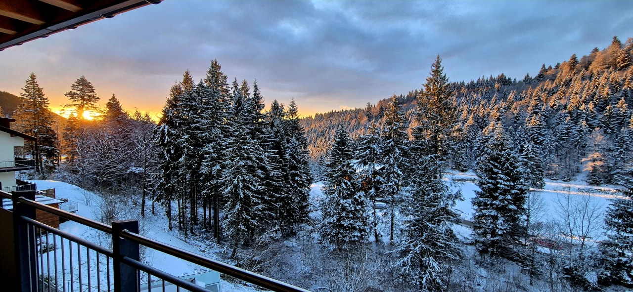 Ausblick Belchenhotel Jägerstüble