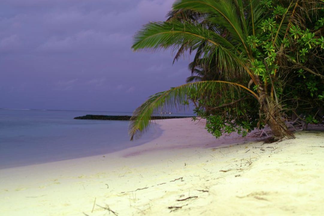 Sunset Summer Island Maldives