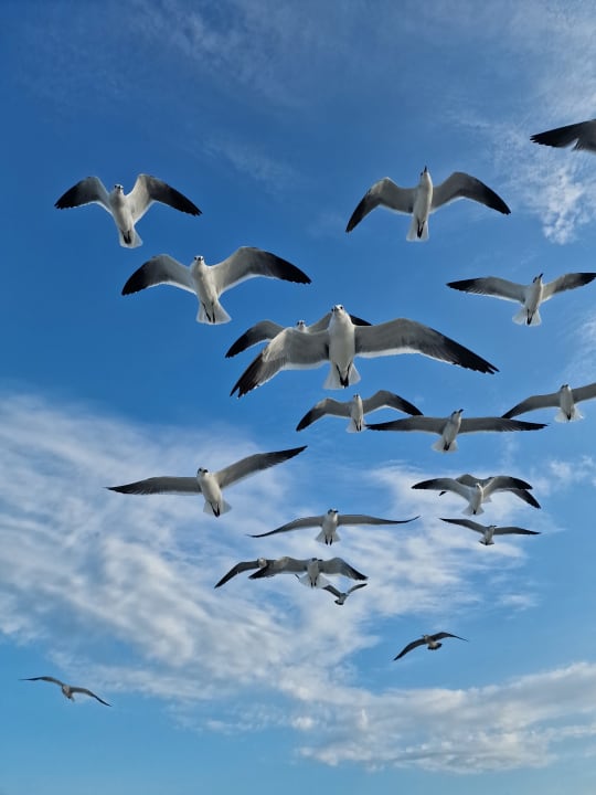 Strand Iberostar Origin Laguna Azul
