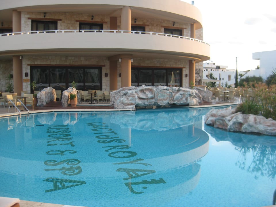 Wunderschöne Ansicht Cactus Royal