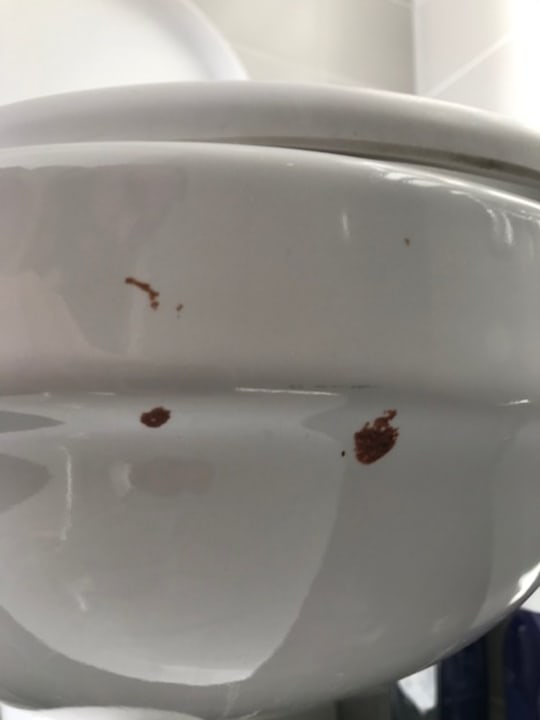 Zimmer Hotel Vossius Vondelpark