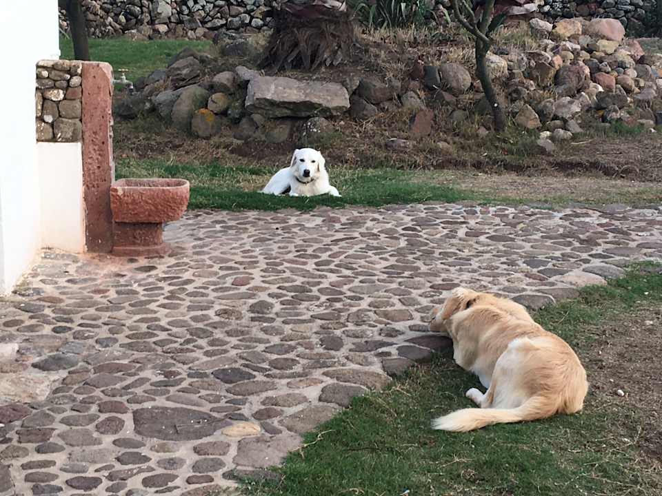 Gartenanlage Tenuta Blancamar Country Bed & Breakfast