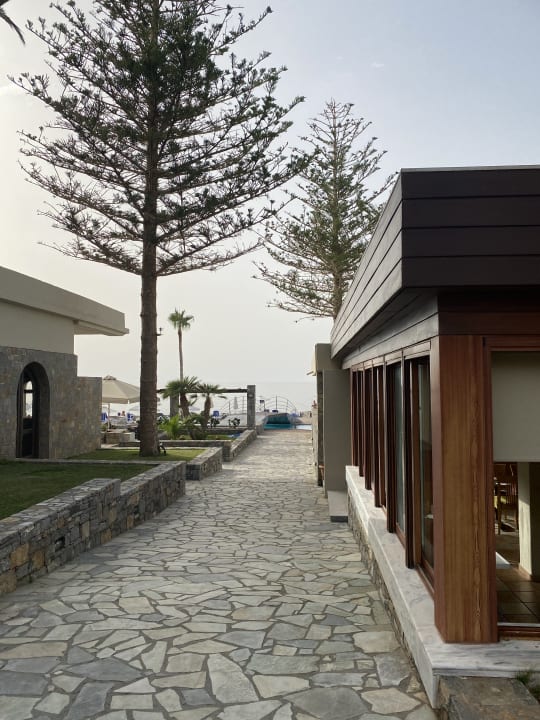 Gartenanlage allsun Hotel Malia Beach