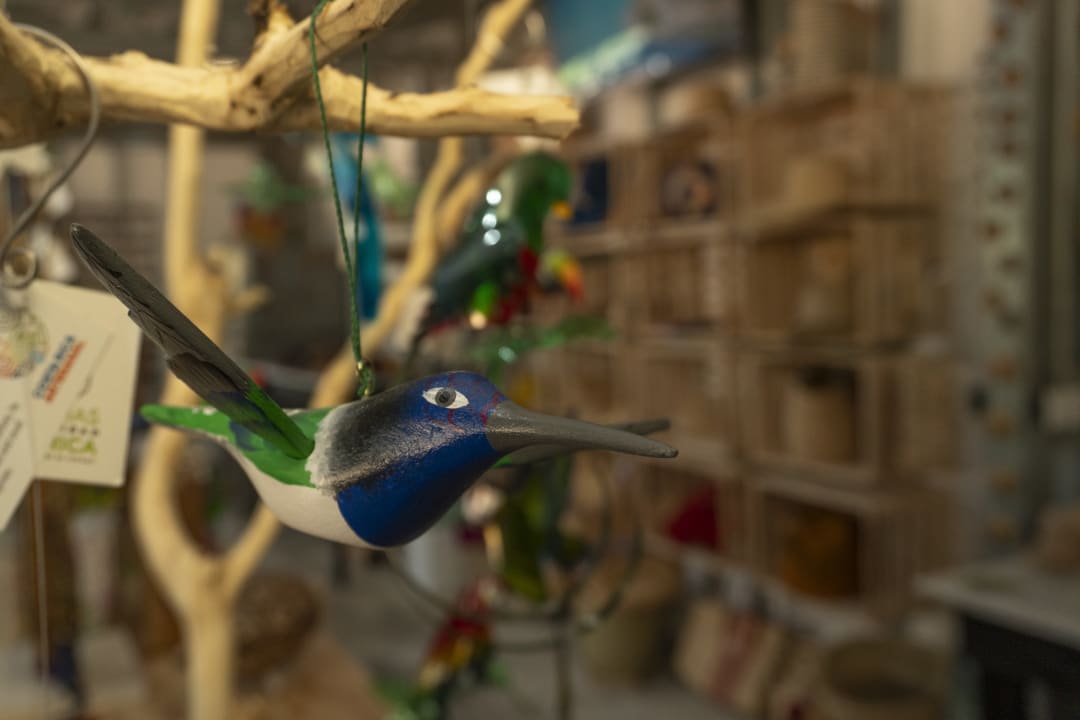 Sonstiges Capitán Suizo Beachfront Boutique Hotel