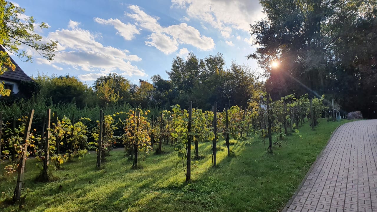 Gartenanlage Hotel an der Therme