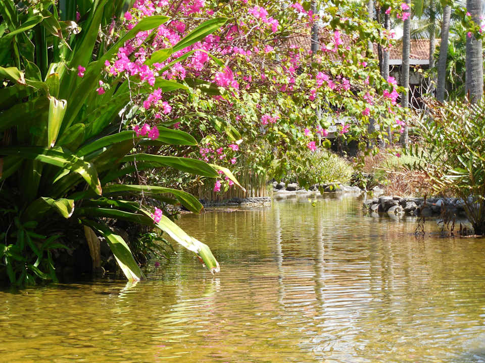 Blick in die wunderschöne Gartenanlage Paradisus by Melia Bali