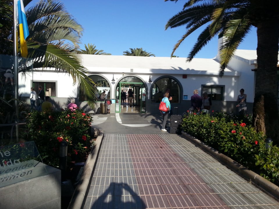 Canary Garden Club Canary Garden Club