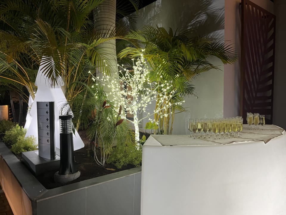 Gastro Hotel Riu Palace Palmeras