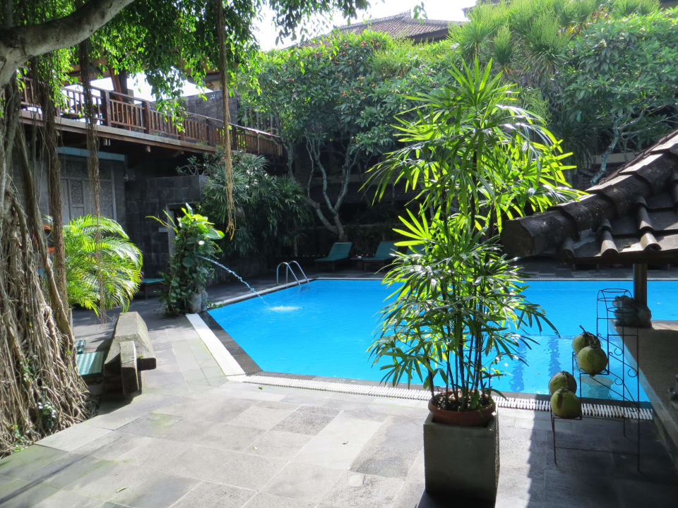 Pool Hotel Puri Bambu