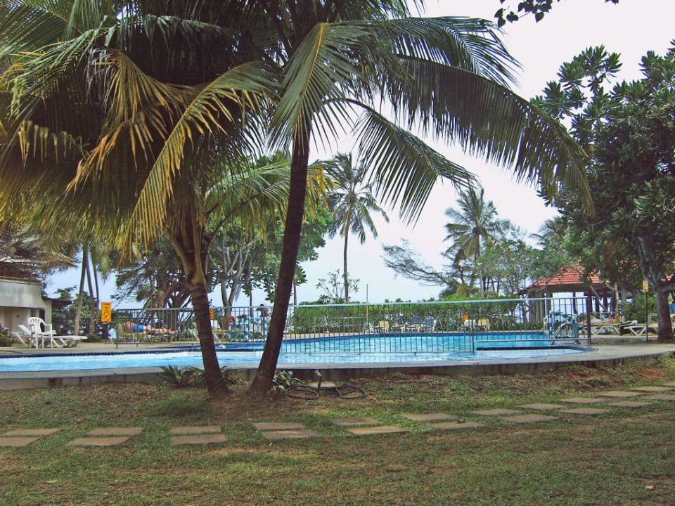 Pool Hotel Club Palm Garden