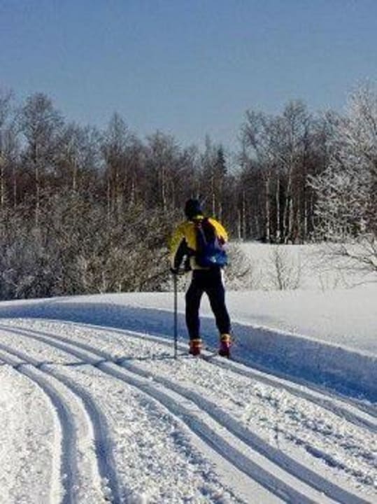 Sport-/Freizeitangebot Haus Vierjahreszeiten