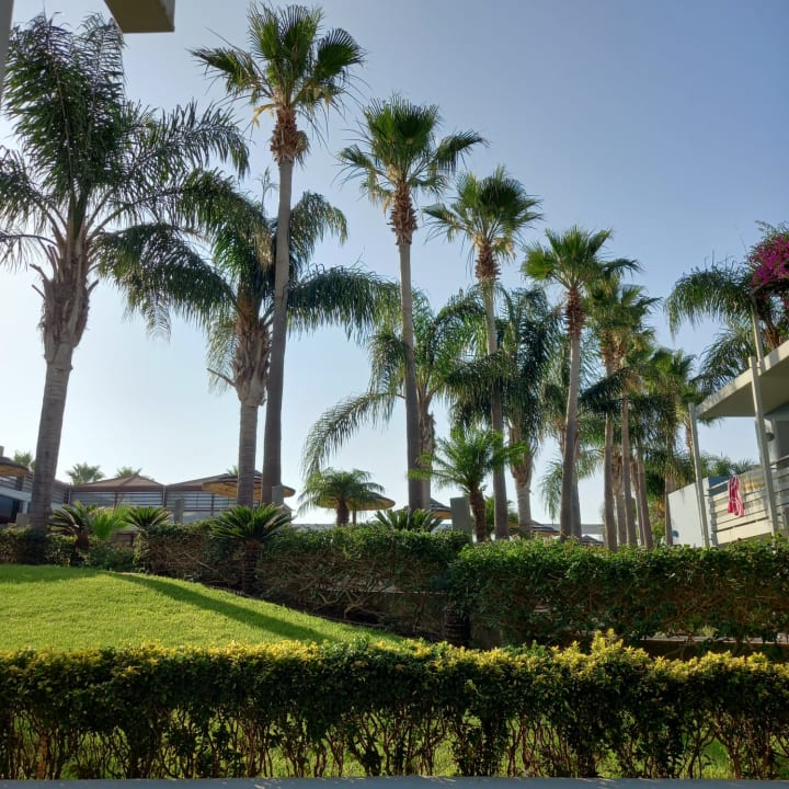 Gartenanlage Blue Lagoon Resort