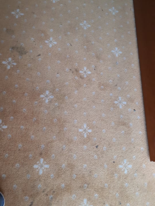 Zimmer Hotel Goldner Loewe