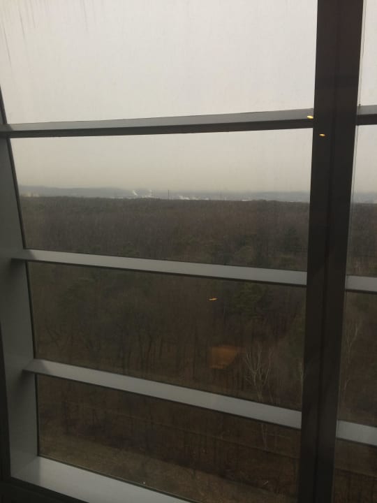 Blick zur Stadt... Hilton Garden Inn Frankfurt Airport