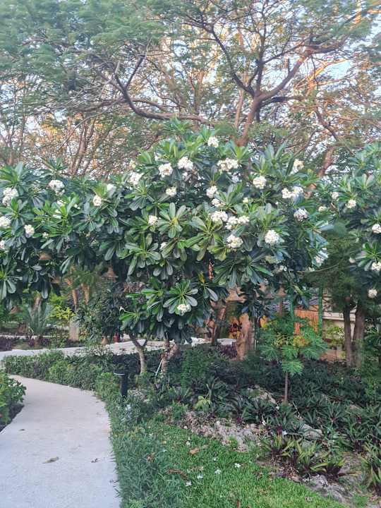 Außenansicht Hotel Kiwengwa Beach Resort