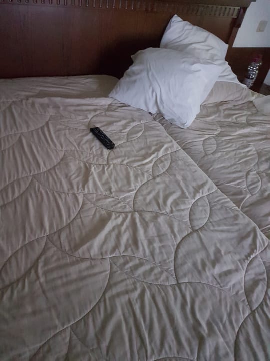 Zimmer Hotel Carpini