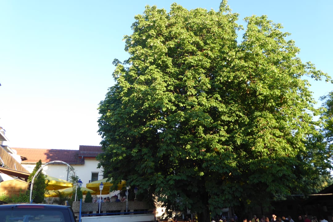 Gastro Hotel Fröhlich