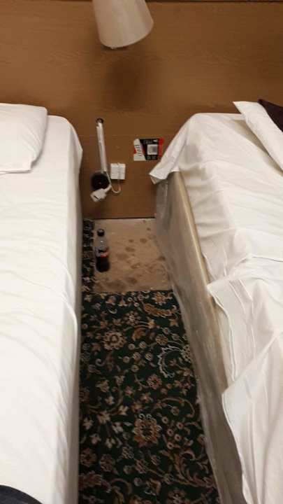 Zimmer OYO Apollo Hotel Bayswater