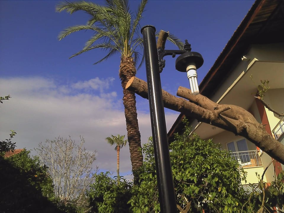 Schöne Gestaltung des Gartens mit modernen Lampen Hotel Sirma