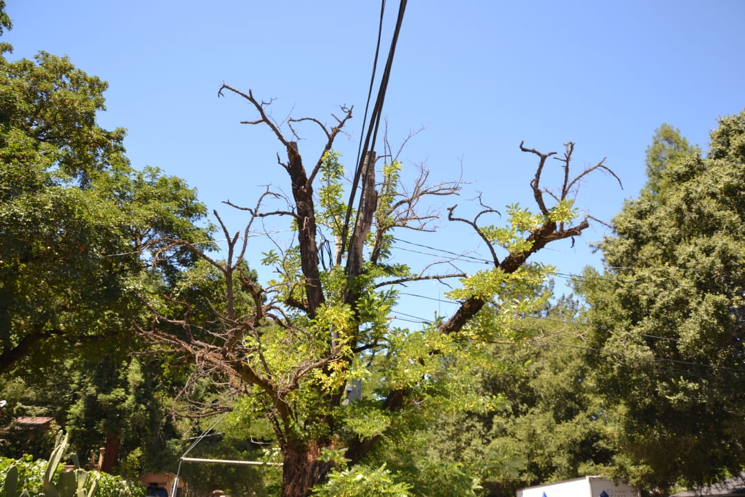 Ausblick Hotel Craftsman Inn