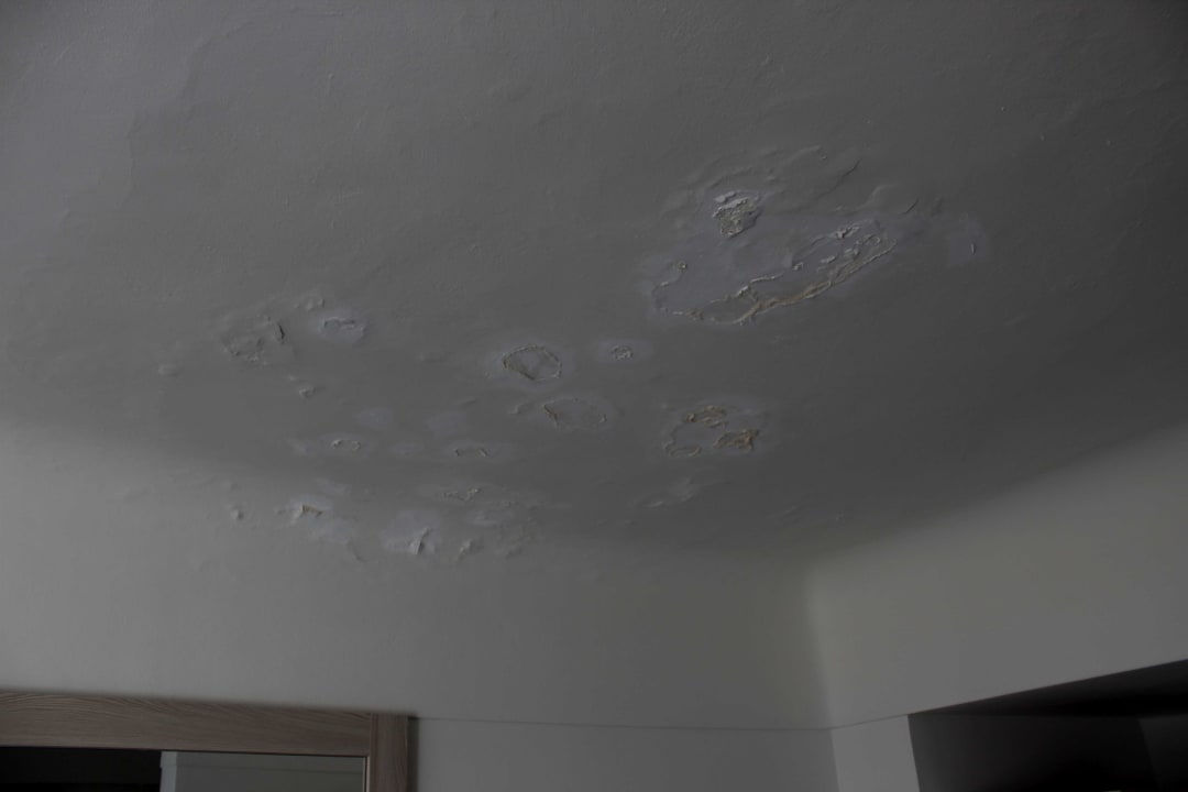 Zimmer Paradisus by Meliá Salinas Lanzarote