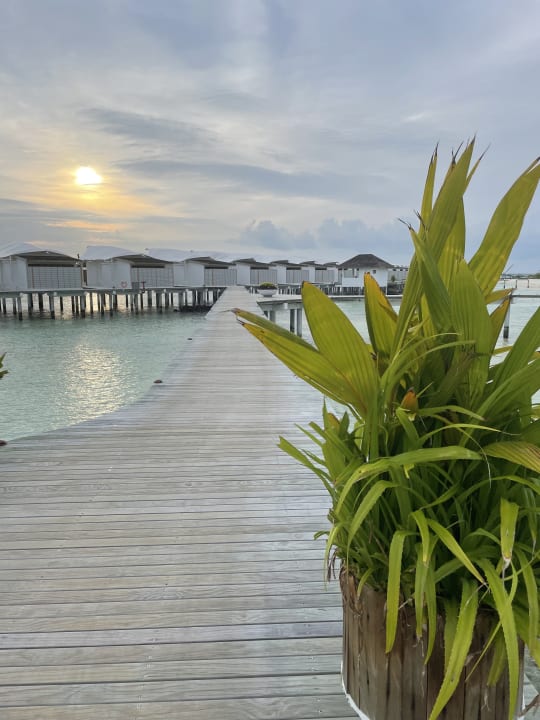 Außenansicht Cinnamon Hakuraa Huraa Maldives