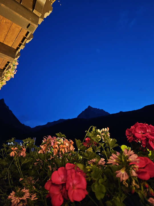 Ausblick Alpenhotel Heimspitze