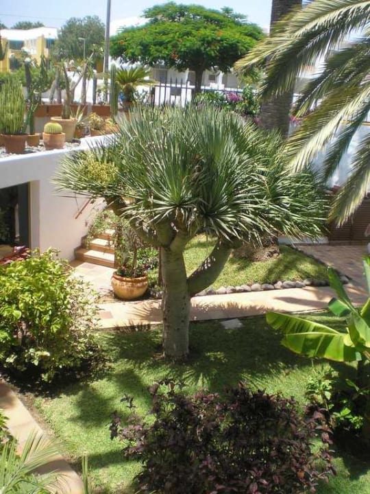 Gartenanlage Hotel Taboga